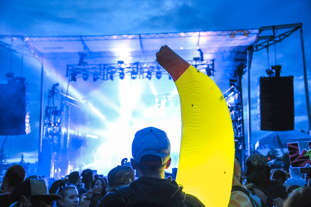 What The Festival, photo by Drew Bandy