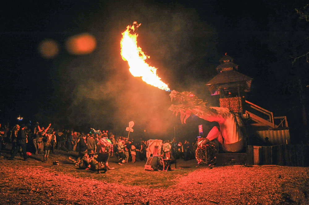 What The Festival, photo by Drew Bandy