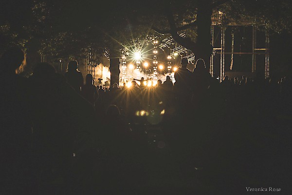 The glow of Cage The Elephant at Edgefield—click to see more photos by Veronica Rose