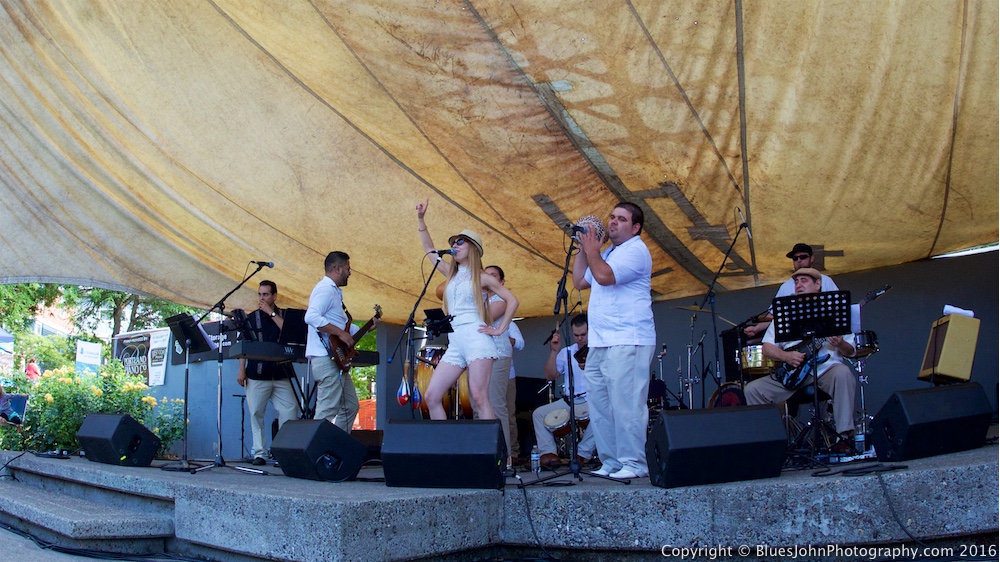 Cathedral Park Jazz Festival, photo by John Alcala