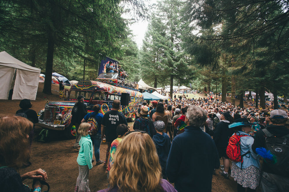 The Brothers Comatose, Northwest String Summit, Horning's Hideout, photo by Jessie McCall