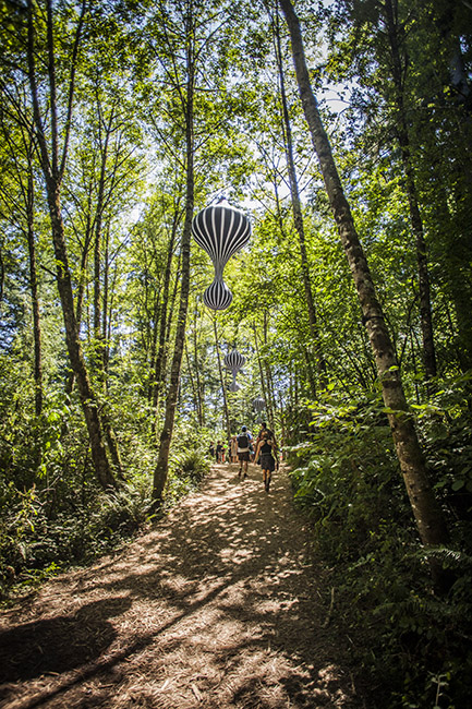 Pickathon, Pendarvis Farm, photo by Sam Gehrke