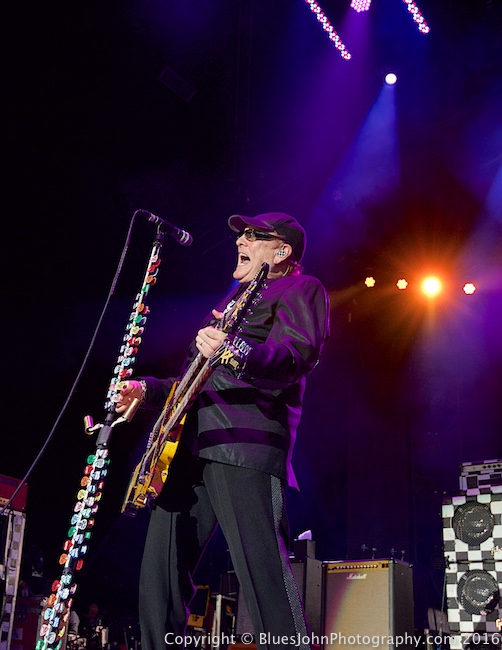 Cheap Trick, Sunlight Supply Amphitheater, photo by John Alcala