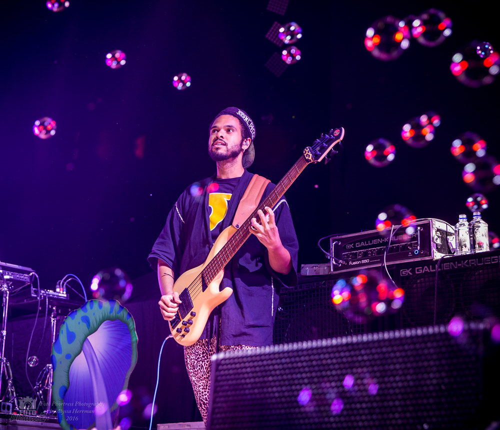 Sunlight Supply Amphitheater, photo by Alyssa Herrman