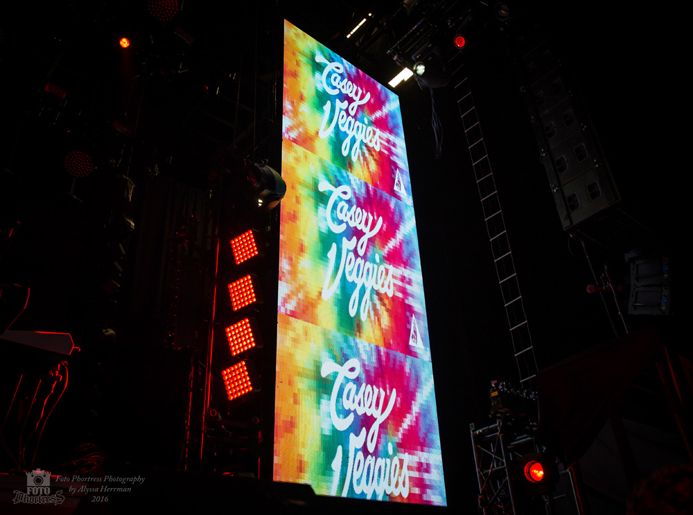 Sunlight Supply Amphitheater, photo by Alyssa Herrman