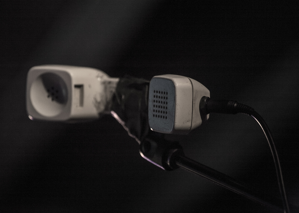 Dale Earnhardt Jr. Jr., Doug Fir Lounge, photo by Josh Phillips