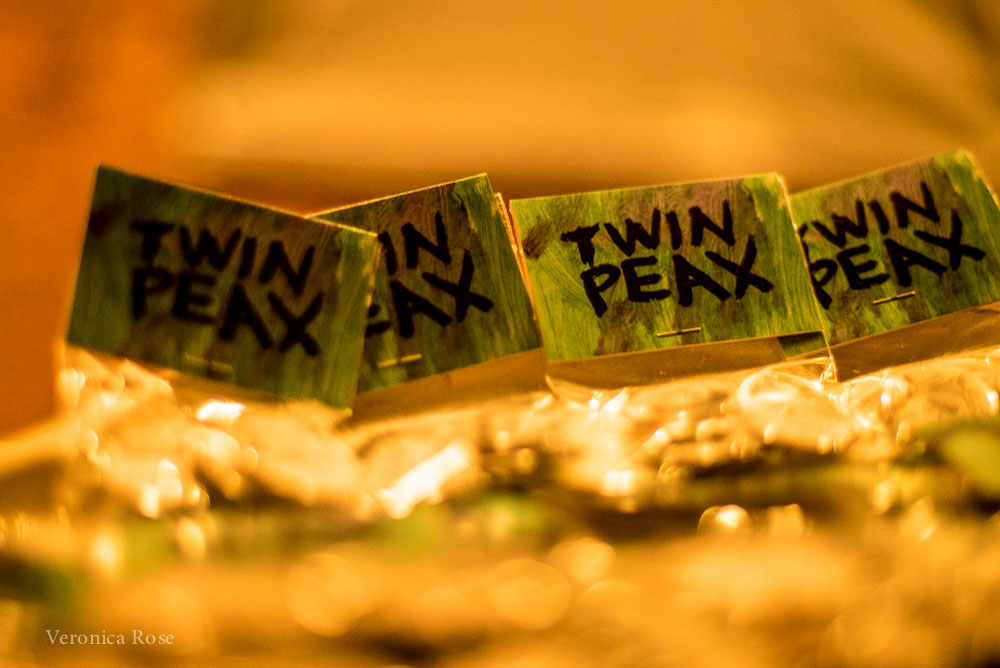 Twin Peaks, Doug Fir Lounge, photo by Veronica Rose