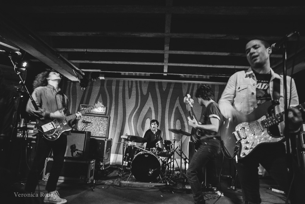 White Reaper, Doug Fir Lounge, photo by Veronica Rose