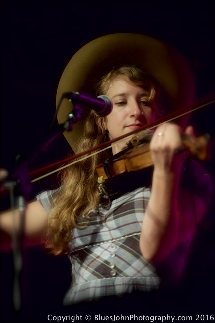 Lost Dog Street Band, Roseland Theater, photo by John Alcala