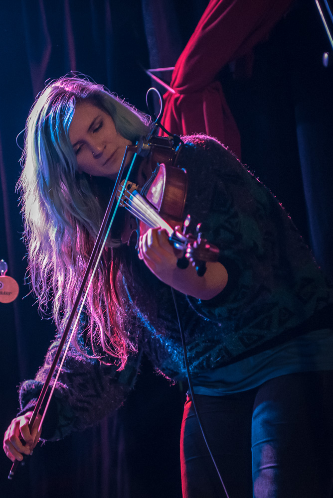 The Hill Dogs, Fluff & Gravy Records, Star Theater, photo by Miss Ellanea