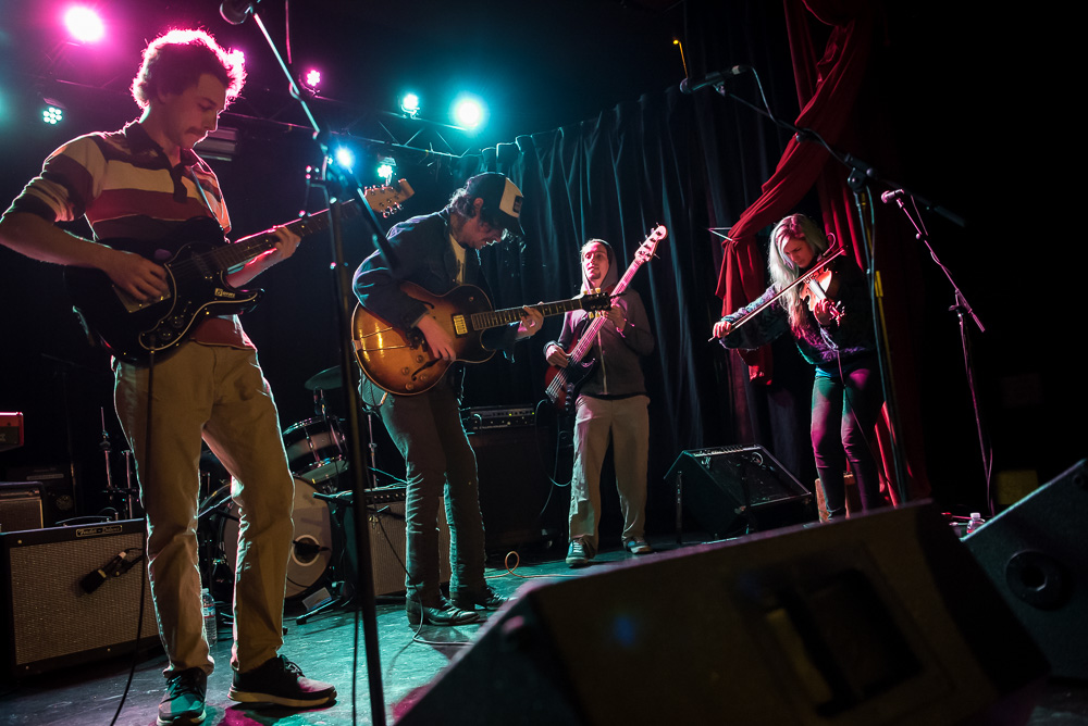 The Hill Dogs, Fluff & Gravy Records, Star Theater, photo by Miss Ellanea