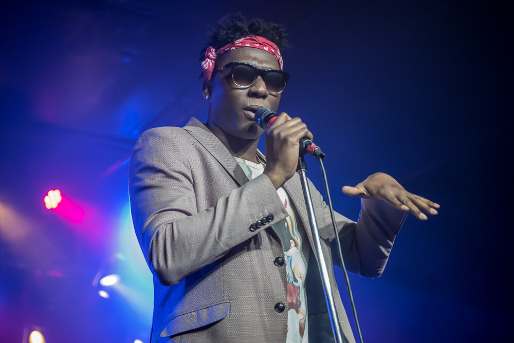 Music festival experience essay picture