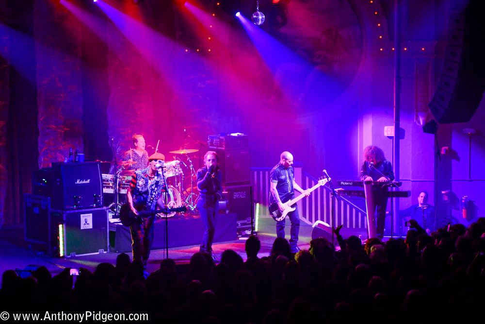 The Damned, Crystal Ballroom, photo by Anthony Pidgeon