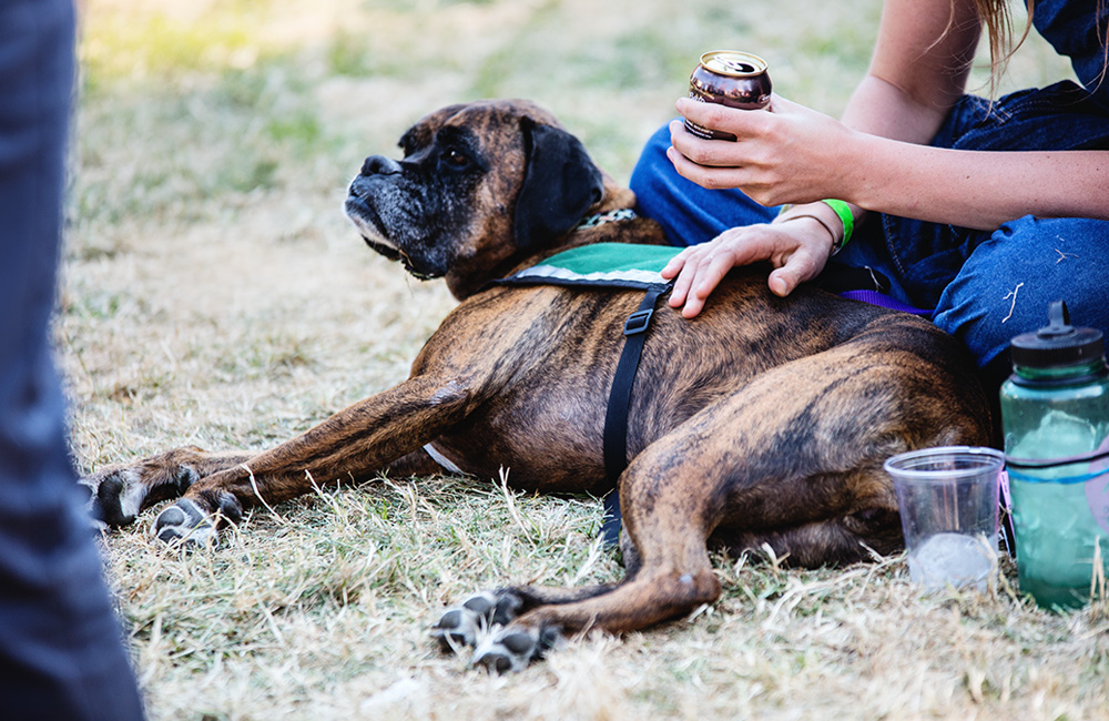 Burger Boogaloo, photo by Autumn Andel