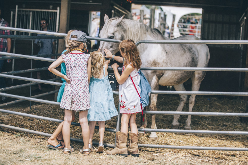 Pickathon, Pendarvis Farm, photo by Sam Gehrke