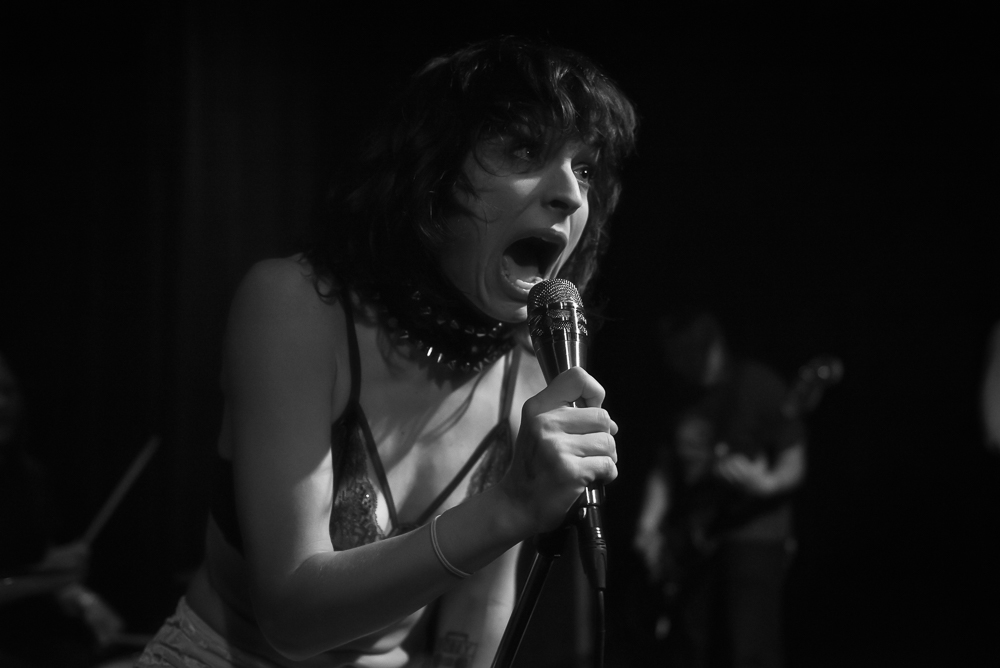 A Giant Dog, Kelly's Olympian, photo by Jeff Ryan