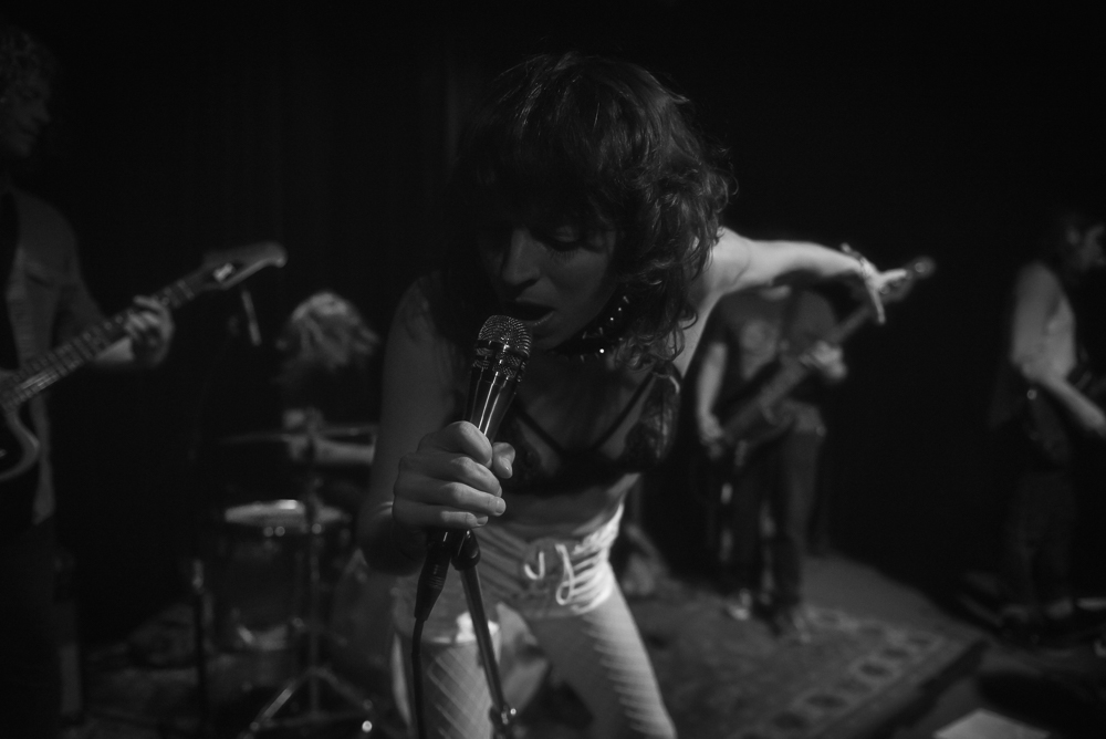 A Giant Dog, Kelly's Olympian, photo by Jeff Ryan