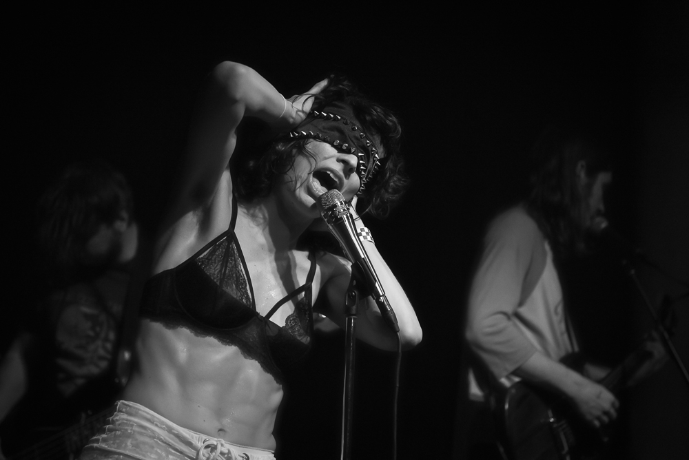 A Giant Dog, Kelly's Olympian, photo by Jeff Ryan