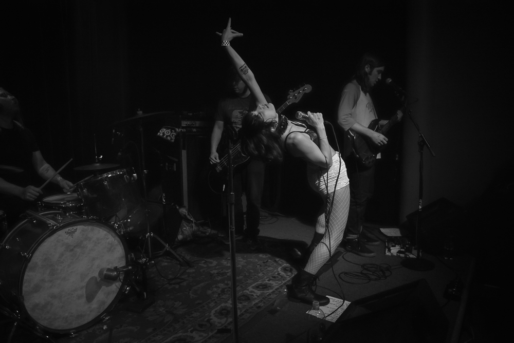 A Giant Dog, Kelly's Olympian, photo by Jeff Ryan