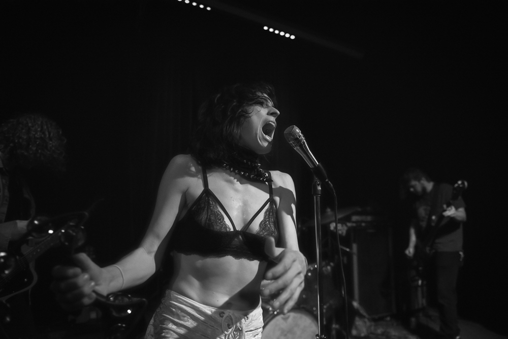 A Giant Dog, Kelly's Olympian, photo by Jeff Ryan