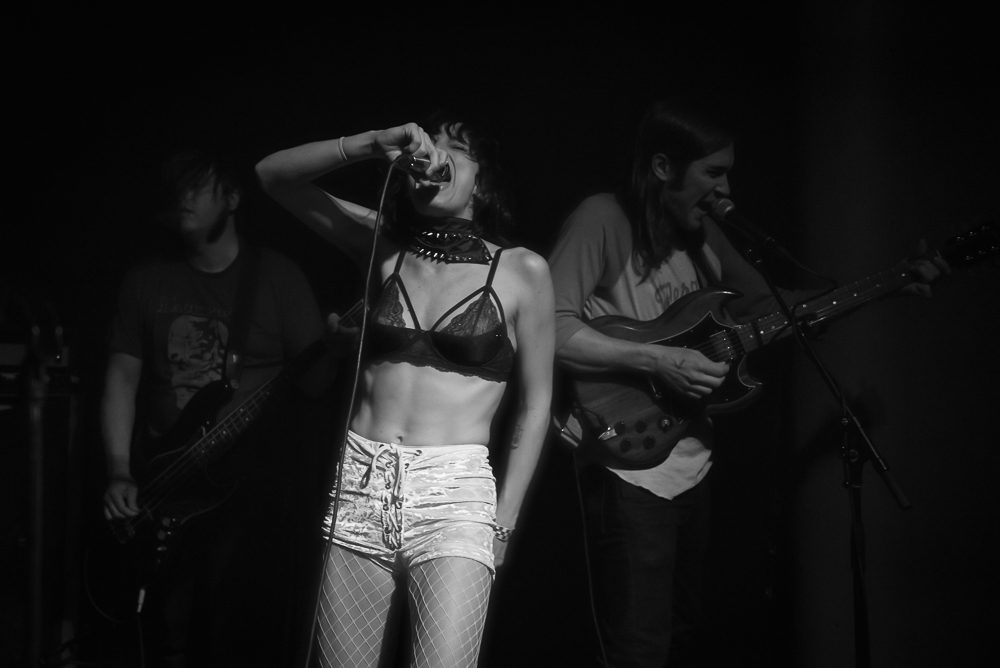 A Giant Dog, Kelly's Olympian, photo by Jeff Ryan