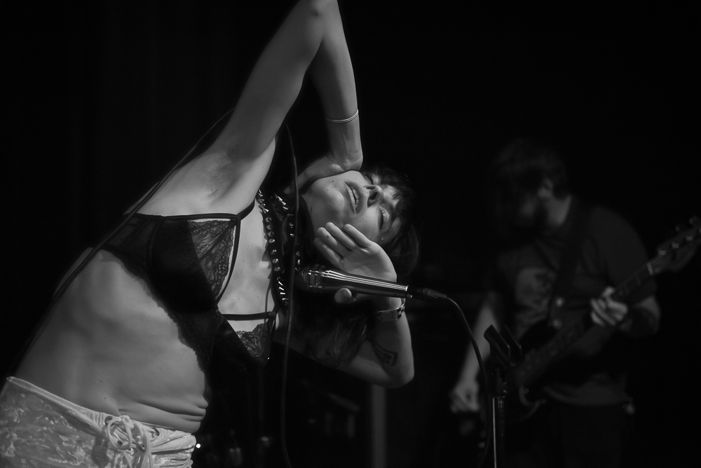 A Giant Dog, Kelly's Olympian, photo by Jeff Ryan