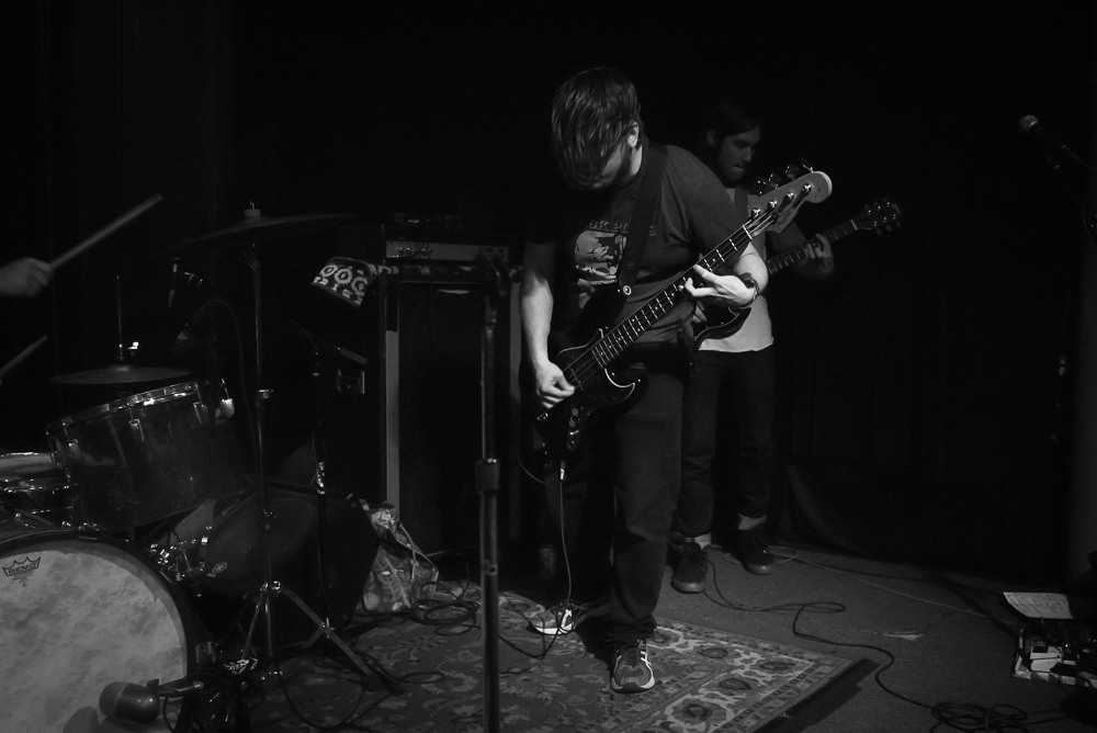 A Giant Dog, Kelly's Olympian, photo by Jeff Ryan