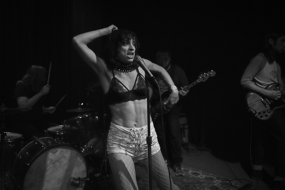 A Giant Dog, Kelly's Olympian, photo by Jeff Ryan