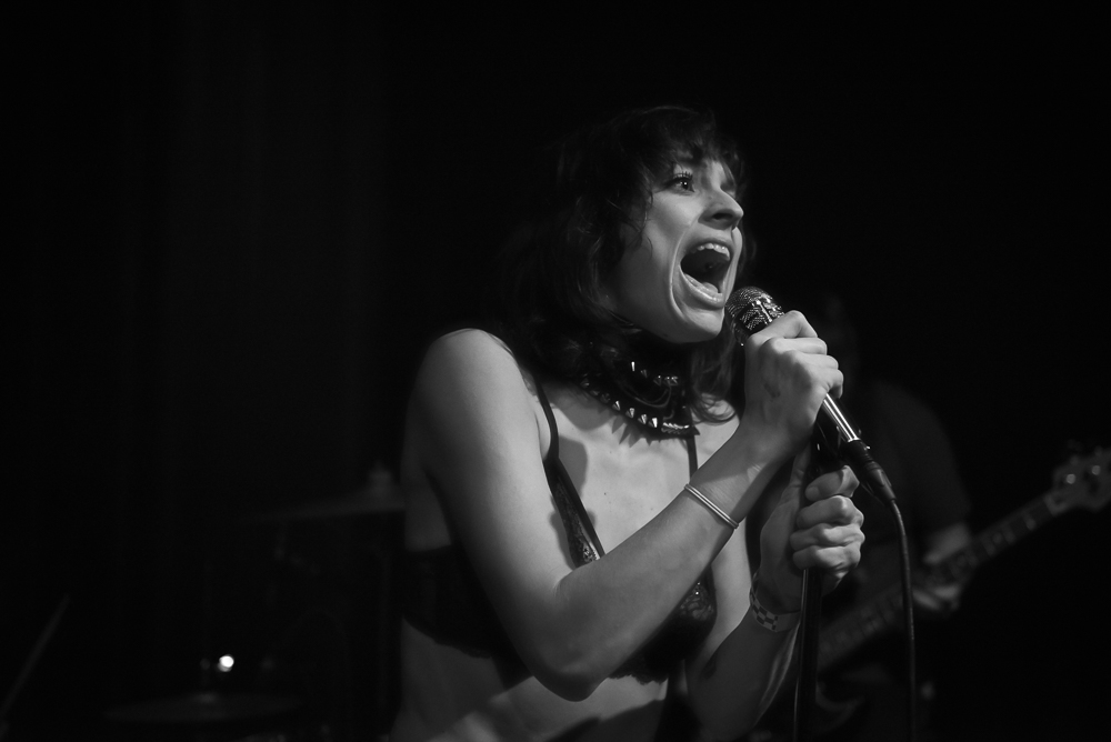 A Giant Dog, Kelly's Olympian, photo by Jeff Ryan