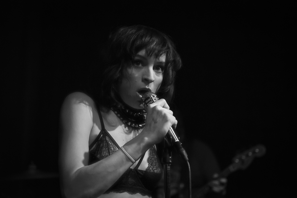 A Giant Dog, Kelly's Olympian, photo by Jeff Ryan