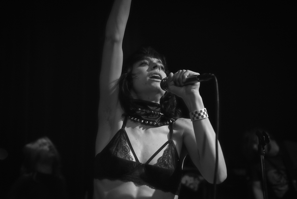 A Giant Dog, Kelly's Olympian, photo by Jeff Ryan