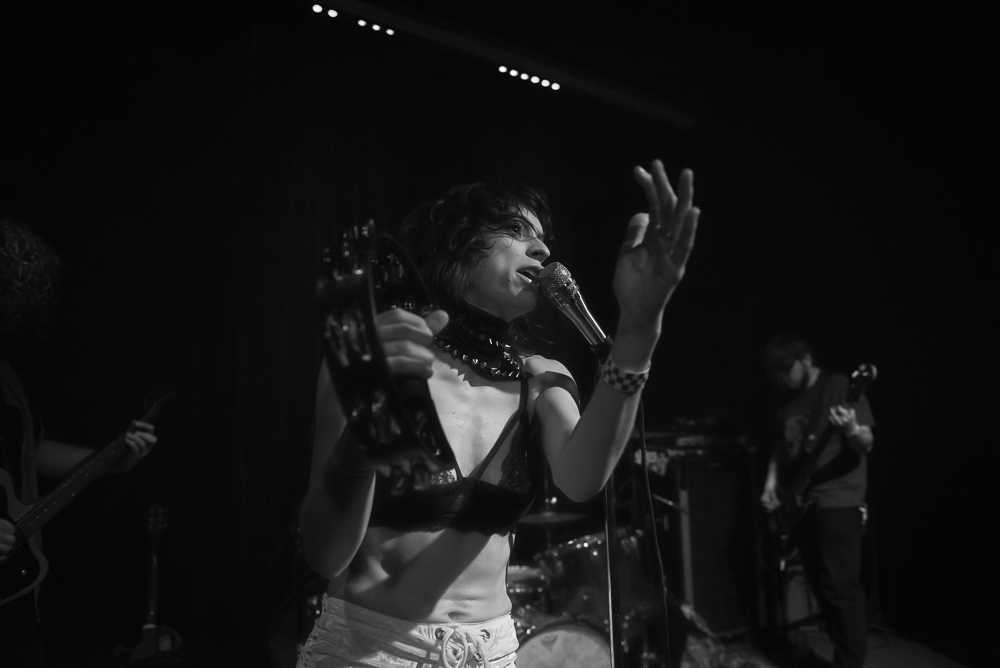 A Giant Dog, Kelly's Olympian, photo by Jeff Ryan