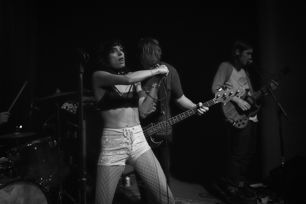 A Giant Dog, Kelly's Olympian, photo by Jeff Ryan