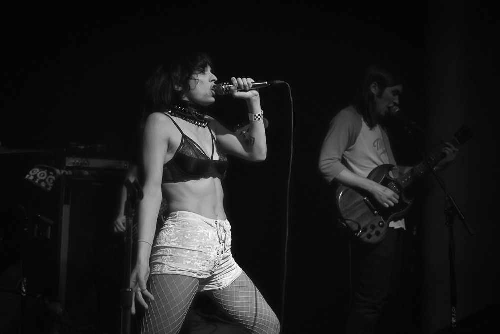 A Giant Dog, Kelly's Olympian, photo by Jeff Ryan