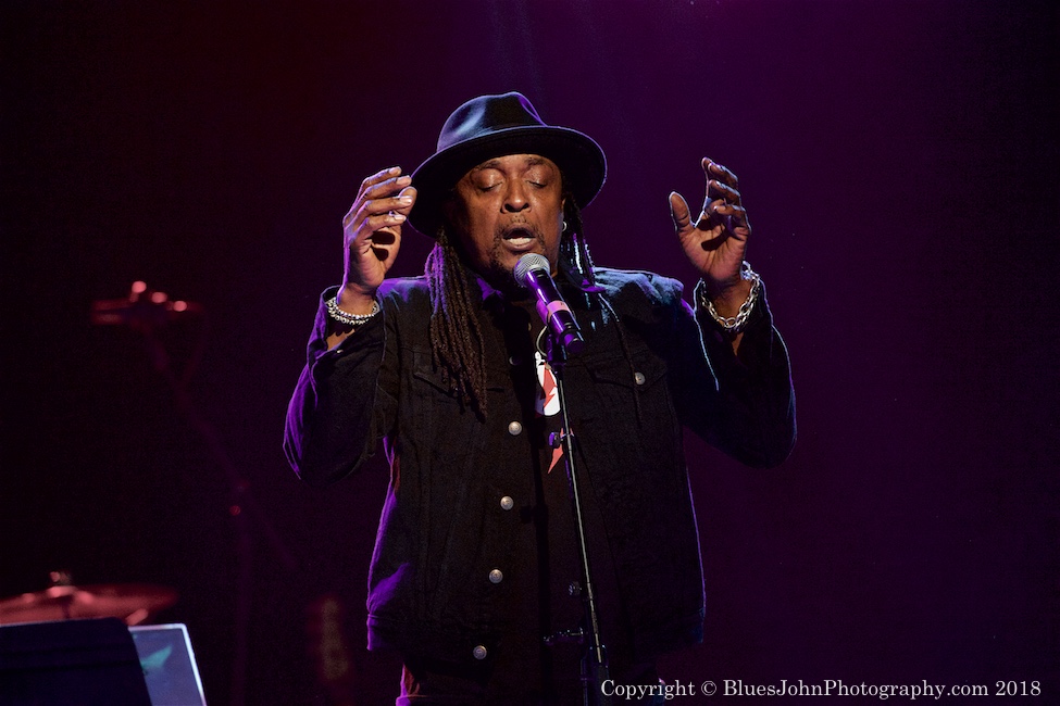 Celebrating David Bowie, Roseland Theater, photo by John Alcala