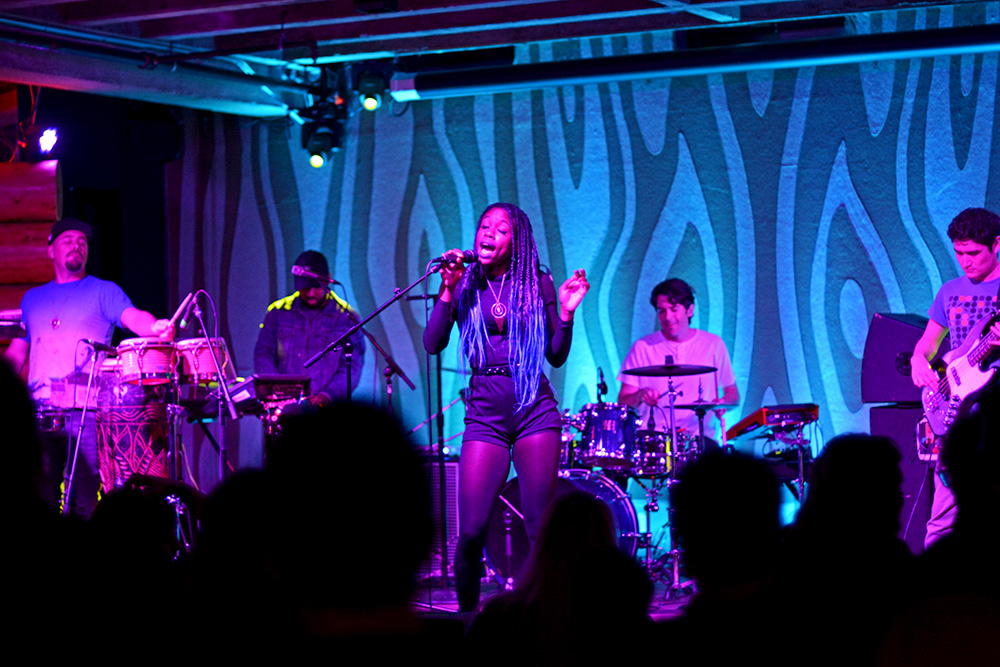 The Seshen, Doug Fir Lounge, photo by Brendon Quinn