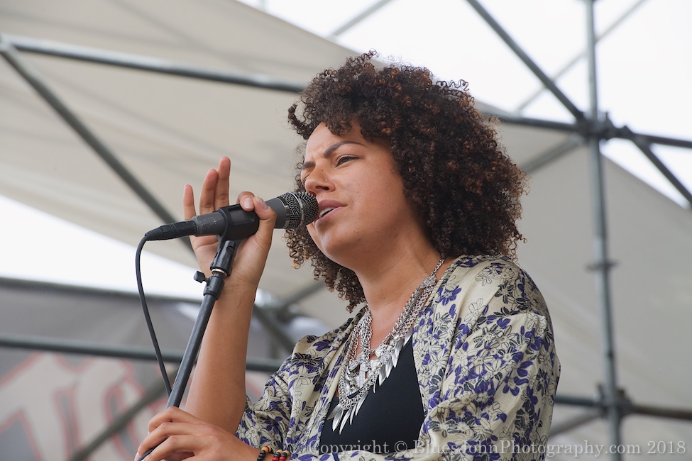 Waterfront Blues Festival, Tom McCall Waterfront Park, American Music Program, photo by John Alcala