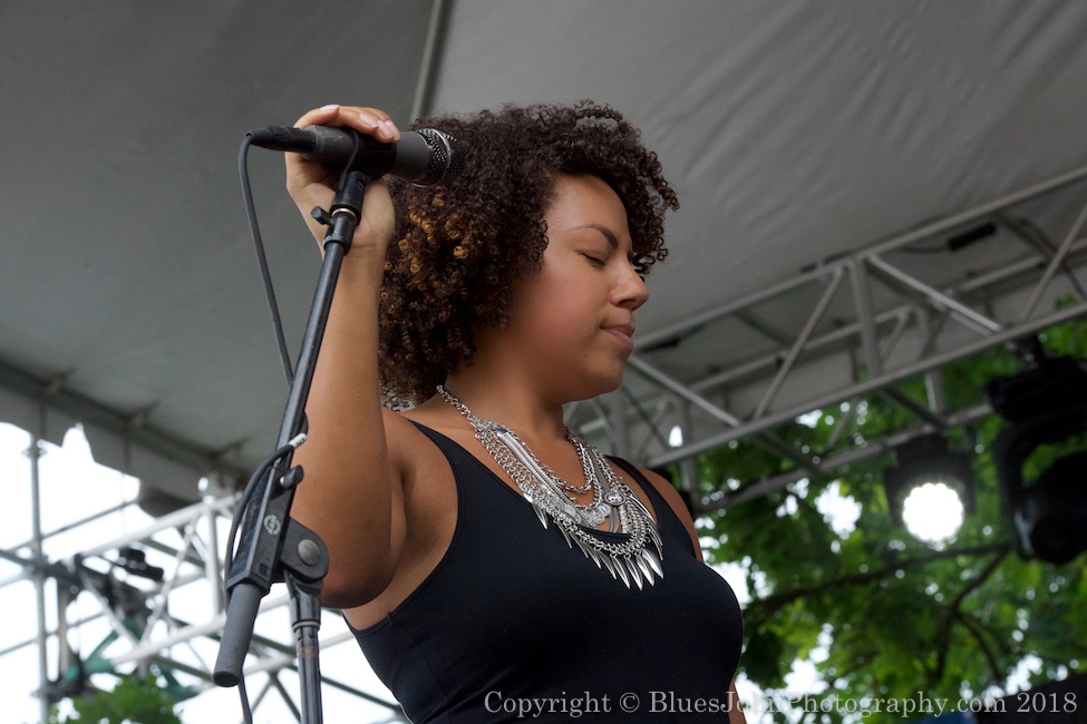 Waterfront Blues Festival, Tom McCall Waterfront Park, American Music Program, photo by John Alcala