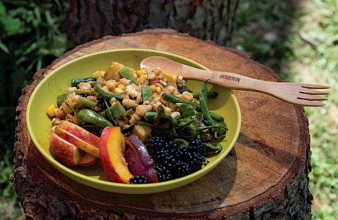 Pickathon, Pendarvis Farm