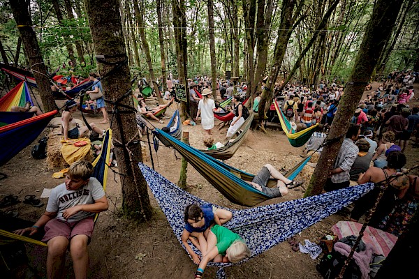A woodland scene from Pickathon in 2018—click to see more photos by Tojo Andrianarivo