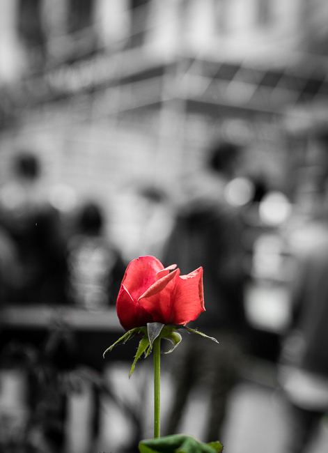 Portland Hip-Hop Day, photo by Miguel Padilla
