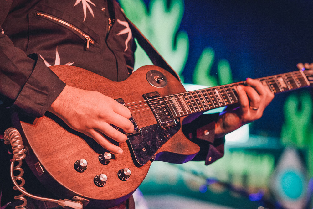 The Growlers, Roseland Theater, photo by Blake Sourisseau