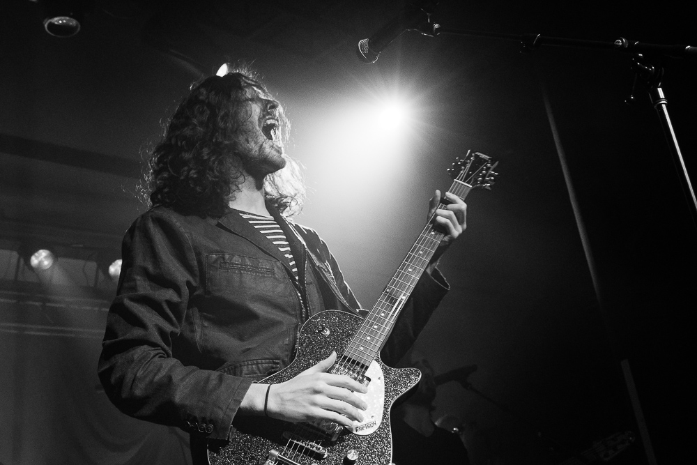 Hozier, Roseland Theater, photo by Austen Maddox