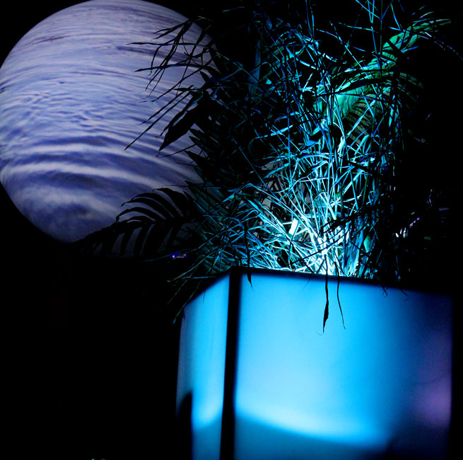 Bumbershoot, Seattle Center, photo by Christina Bay